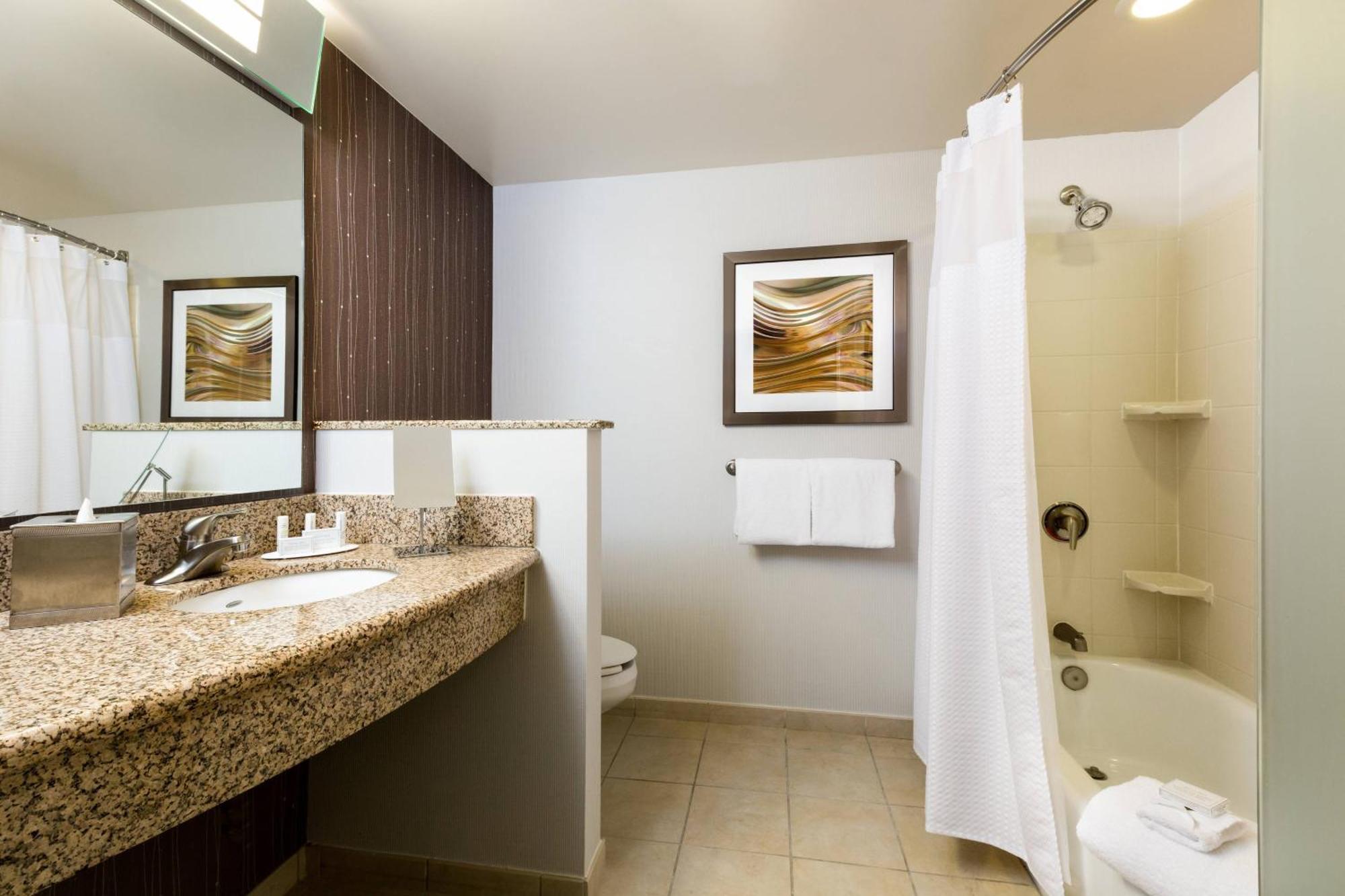 Courtyard By Marriott Houston Galleria Екстер'єр фото